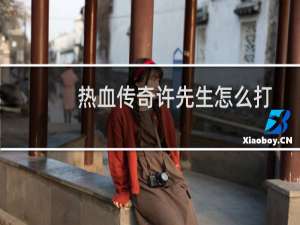 热血传奇许先生怎么打