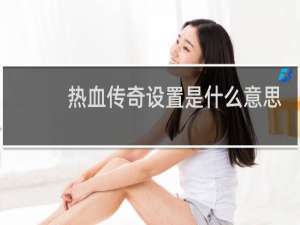 热血传奇设置是什么意思
