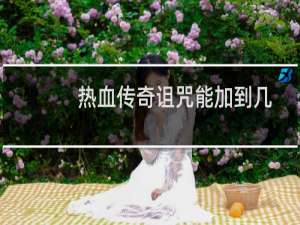 热血传奇诅咒能加到几