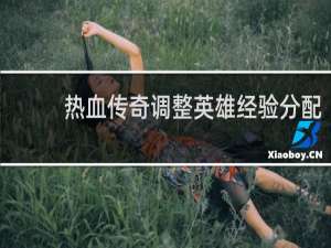 热血传奇调整英雄经验分配