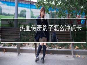 热血传奇豹子怎么冲点卡