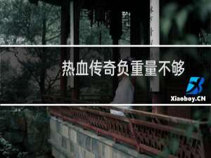 热血传奇负重量不够
