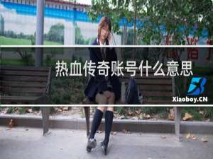 热血传奇账号什么意思