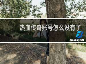 热血传奇账号怎么没有了