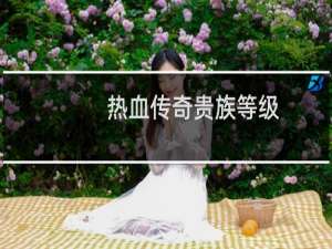 热血传奇贵族等级