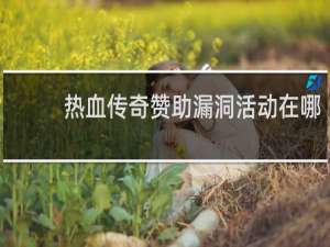 热血传奇赞助漏洞活动在哪
