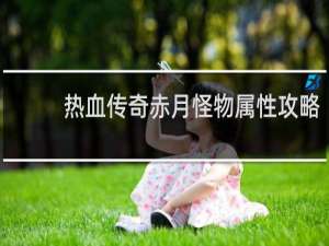 热血传奇赤月怪物属性攻略