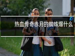 热血传奇赤月的蜘蛛爆什么