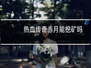 热血传奇赤月能挖矿吗