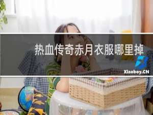 热血传奇赤月衣服哪里掉