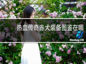 热血传奇赤犬装备图鉴在哪