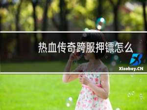热血传奇跨服押镖怎么