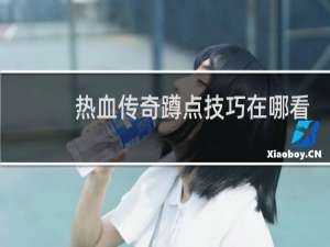 热血传奇蹲点技巧在哪看