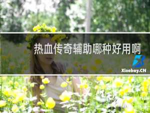 热血传奇辅助哪种好用啊