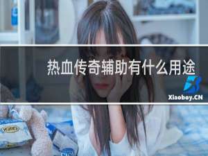 热血传奇辅助有什么用途