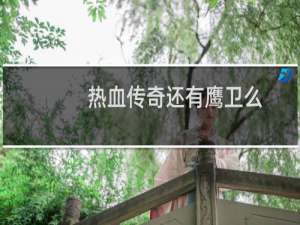 热血传奇还有鹰卫么