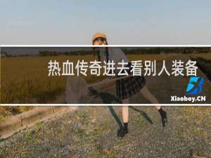 热血传奇进去看别人装备