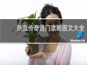热血传奇进门攻略图文大全