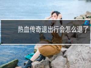 热血传奇退出行会怎么退了