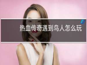 热血传奇遇到鸟人怎么玩
