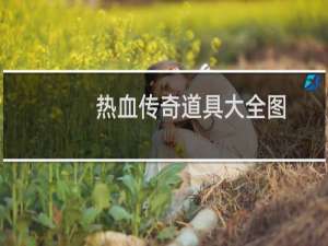 热血传奇道具大全图