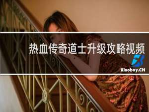 热血传奇道士升级攻略视频