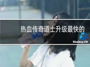 热血传奇道士升级最快的