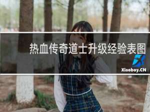 热血传奇道士升级经验表图