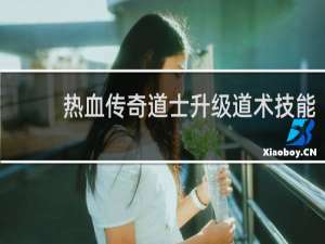 热血传奇道士升级道术技能