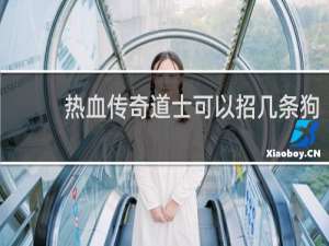 热血传奇道士可以招几条狗