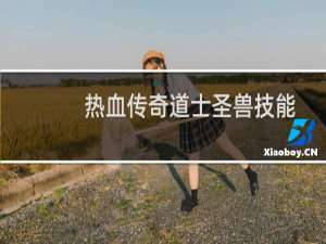 热血传奇道士圣兽技能