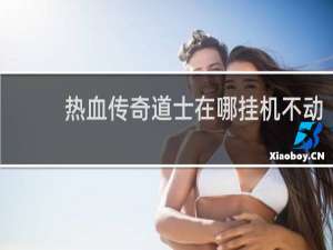 热血传奇道士在哪挂机不动