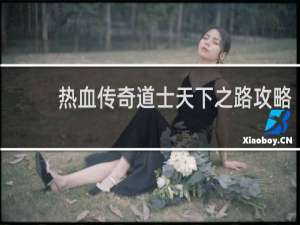 热血传奇道士天下之路攻略
