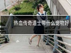 热血传奇道士带什么宠物好