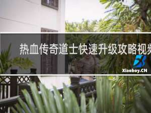 热血传奇道士快速升级攻略视频