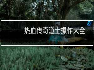 热血传奇道士操作大全