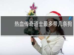 热血传奇道士最多带几条狗