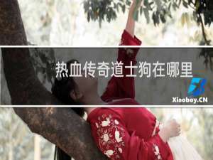 热血传奇道士狗在哪里
