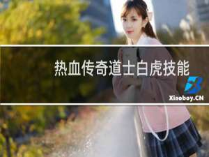 热血传奇道士白虎技能