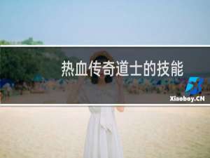 热血传奇道士的技能