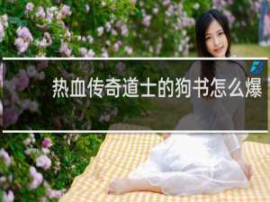 热血传奇道士的狗书怎么爆