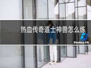 热血传奇道士神兽怎么练