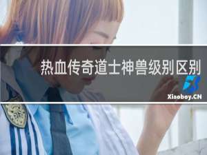 热血传奇道士神兽级别区别