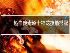 热血传奇道士神龙技能搭配