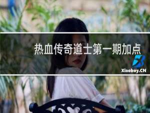 热血传奇道士第一期加点