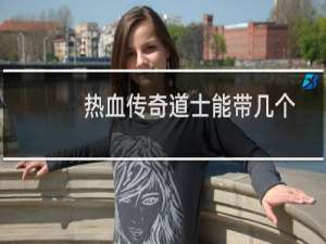 热血传奇道士能带几个