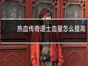 热血传奇道士血量怎么提高