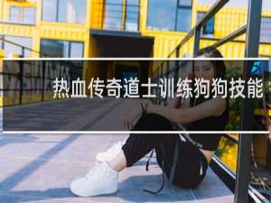 热血传奇道士训练狗狗技能