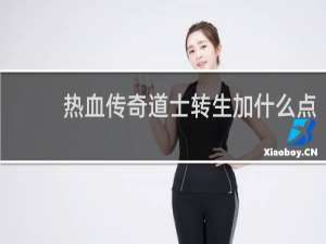 热血传奇道士转生加什么点