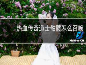 热血传奇道士骷髅怎么召唤